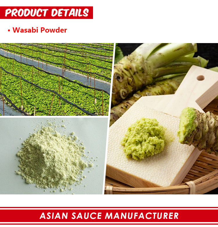 Wasabi Powder Wasabi Tozu